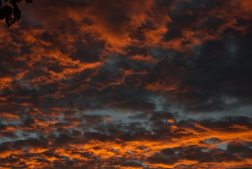 Fototapeta na wymiar Red glowing cloud in a morning