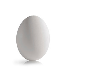 Fresh raw white chicken egg isolated on white