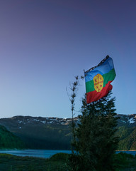 Bandera Mapuche - Chile