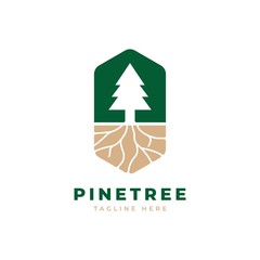 Pine tree logo design vector template