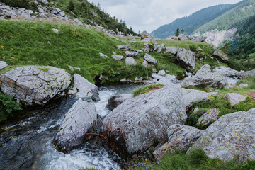 Wild mountain river flowing through the rocks