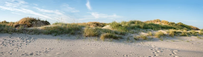 Gartenposter Sanddünen als Panoramahintergrund © eyetronic