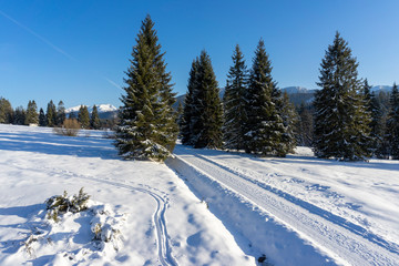 Winter scenery in the mountains. Around Oravice. Tatry. Slovakia.