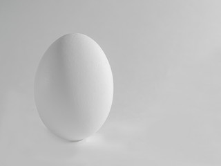 white raw chicken egg isolated on light gray background with copy space