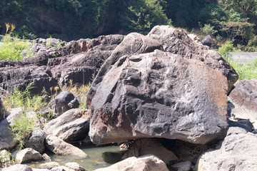Fototapeta na wymiar a large stone among the greenery in the mountains