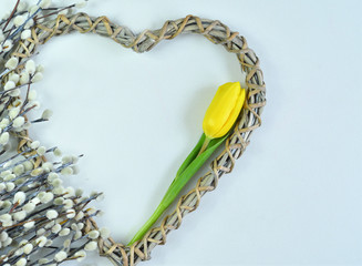 fluffy willow twigs, yellow tulips and wicker heart on a white background