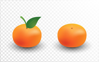 Oranges fruits views isolated on transparent background.