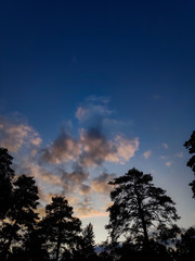 sky with clouds and trees