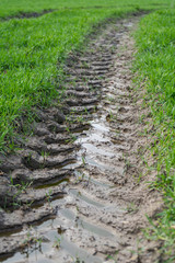 traces of agricultural machinery in wet slippery mud among green grass on the field