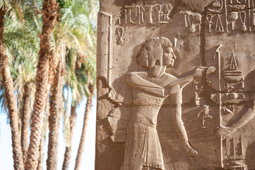 Ancient Egyptian hieroglyphs standing in sunlit relief with palm trees in the background