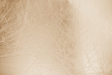 Abstract gold background with copy space