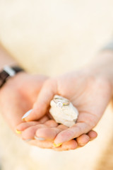 Hands of bride and groom with stone and ring