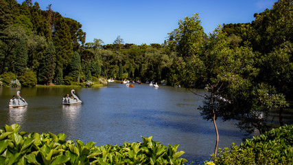 Beautiful lake with pedal boats