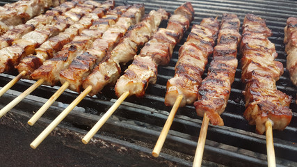 souvlaki or souvlakia greek traditional meat food preperation