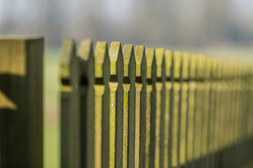 weathered wooden fence on a sunny spring day