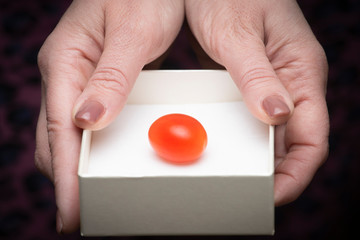 hands showing a tomato in a jewelry box