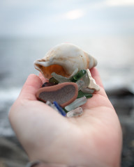 Shells and sea glass cupped or held inside a hand with the ocean in the background.