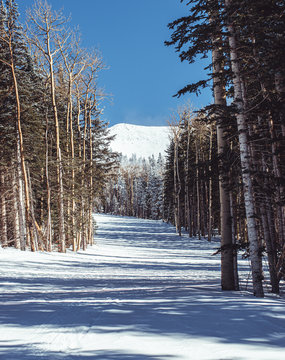 Arizona Snow At Snow Bowl Ski Lodge In Flagstaff