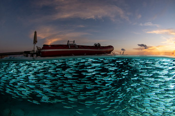 sunrise fish split shot boat jetty