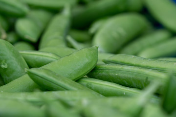 Fresh green sugar snap pea