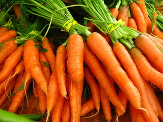 Carrots fresh at farmers market