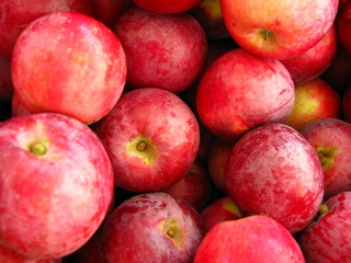 Red apples at farmers market