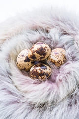 quail eggs in a wicker basket. Easter and easter decoration