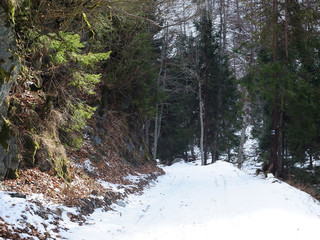  Walk in nature on Sunday