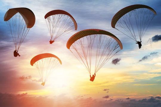 paragliders.eth Ethereum Name Service (ENS and .eth domain) PFP