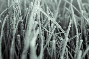 Macro on grass with frost and and drops of water. Close up on grass. Frost with drop of water