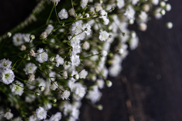 Gypsophila paniculata flowers in bridal concept