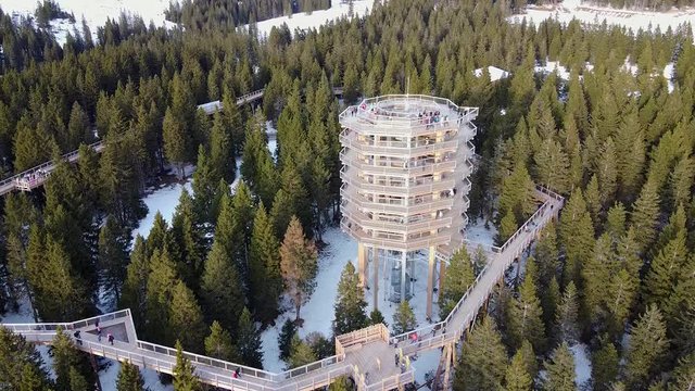 Static aerial shot of Treetop Walk, a viewing tower on a snowy forest in Rogla, Slovenia