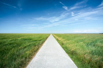 Foto op Canvas Long straight road along grassland © eyetronic