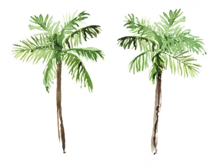 Fototapeten Watercolor hand drawn rainforest tropical palms botanical illustration isolated on white background © Salnikova Watercolor