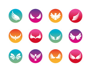 Isolated wings and eagles silhouette block style icon set vector design