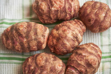 Detailed Picture on Raw Jerusalem artichoke, Helianthus tuberosus, also called sunroot, sunchoke, or earth apple lying on dish towel. Tubers are rich in carbohydrate inulin and it's healthy super food