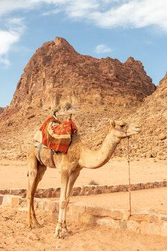 Wadi Rum Desert in Jordan