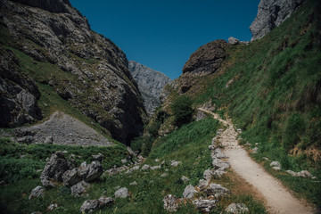 Fototapeta na wymiar path through the mountains 