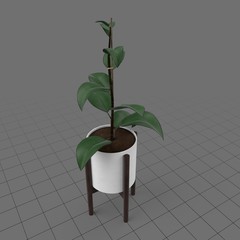 Mid century planter with stand