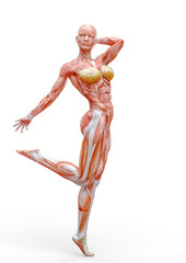 muscle woman doing a pin up pose in white background