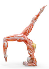 muscle woman doing a scorpion with crow variation pose in white background