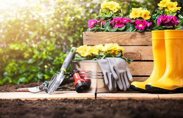 Gardening Tools Set And Flowers