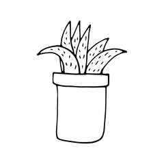 Single cute hand drawn cactus pot. Doodle vector illustration house plant for wedding design, logo, greeting card or seasonal design. Isolated on white background.