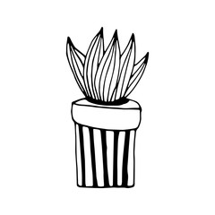 Single cute hand drawn cactus pot. Doodle vector illustration house plant for wedding design, logo, greeting card or seasonal design. Isolated on white background.