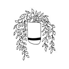 Cute hand drawn element of flower pot. Doodle vector illustration house plants for wedding design, logo and greeting card. Isolated on white background.