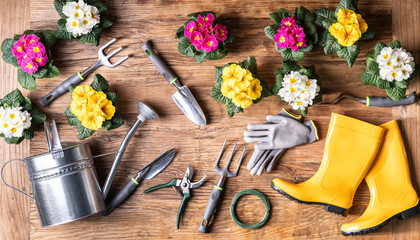 Gardening Tools And Flowerpots