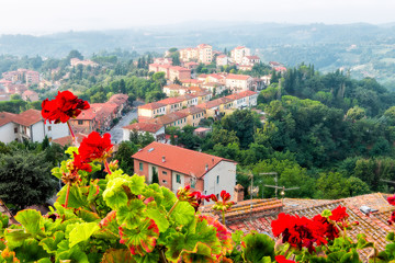 Chiusi Scalo houses buildings in Tuscany, Italy town cityscape and red geranium flowers in garden foreground on building terrace patio landscape view