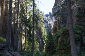Rock forest in the Czech Republic