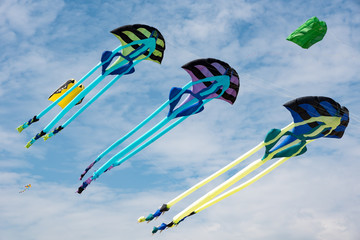 Kites with blue sky and white clouds