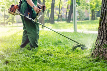 Worker mowing tall grass with electric or petrol lawn trimmer in city park or backyard. Gardening care tools and equipment. Process of lawn trimming with hand mower - obrazy, fototapety, plakaty